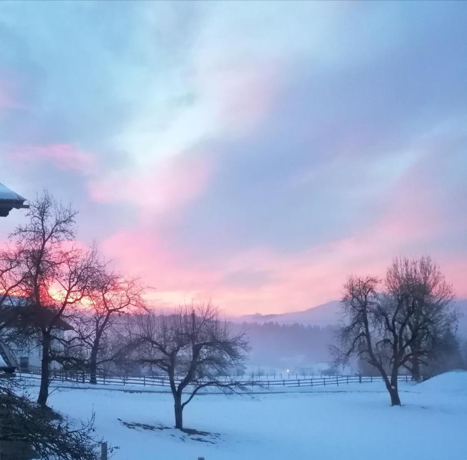 Fewo Fabiella Mit Balkon Millstatt am See Zewnętrze zdjęcie
